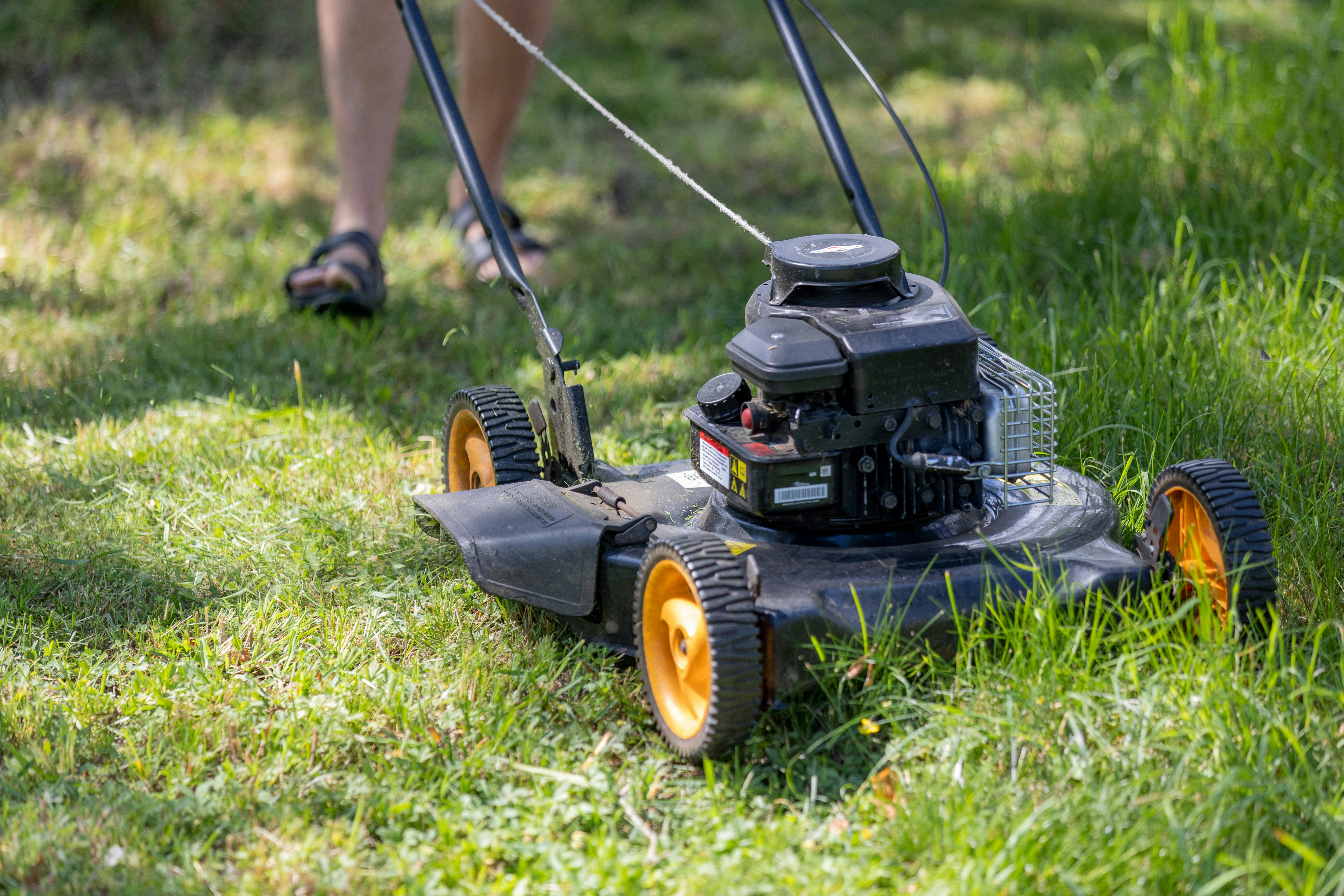 Push mower cutting grass on a sunny day