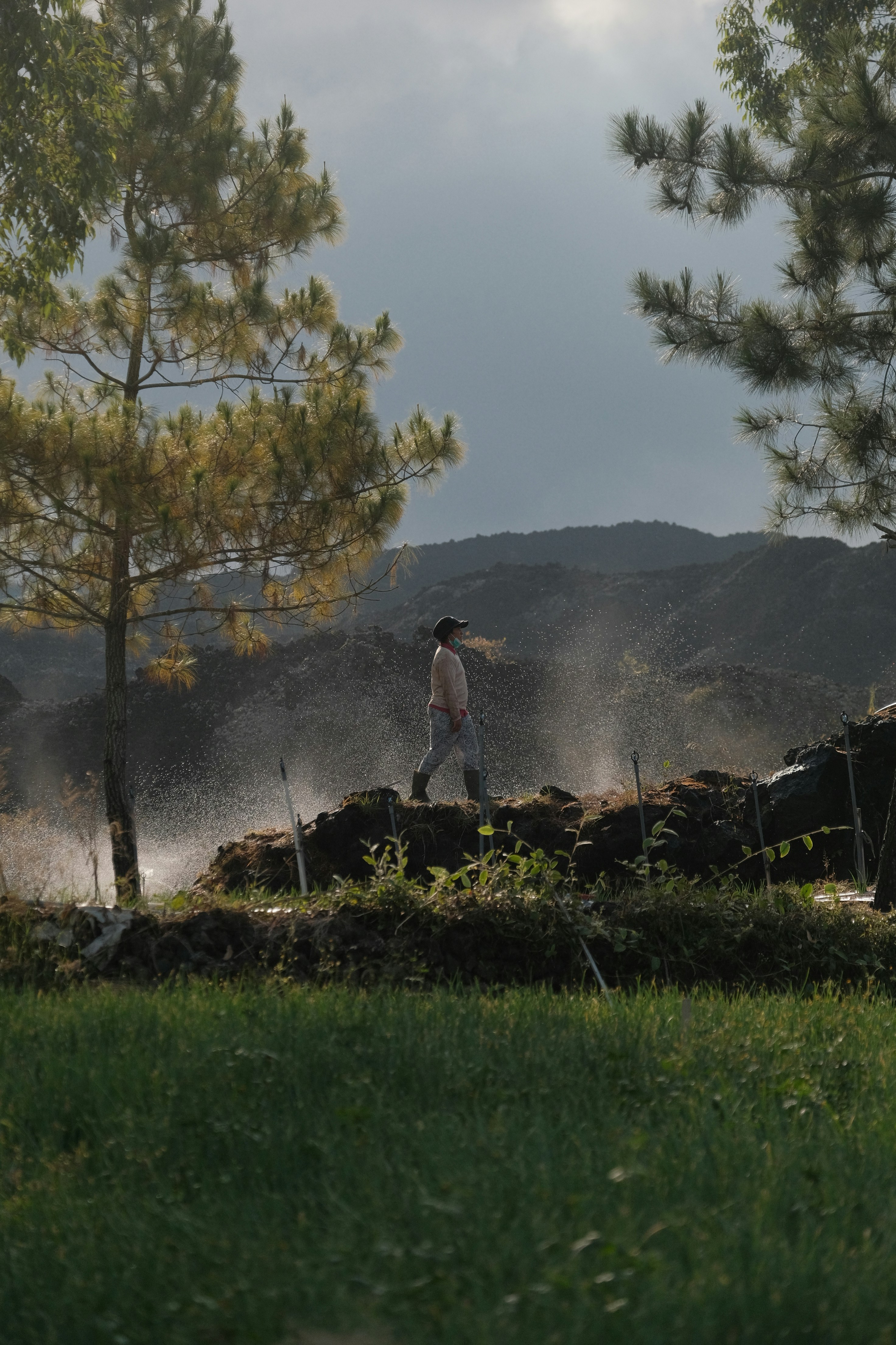 Worker walking through irrigated grounds